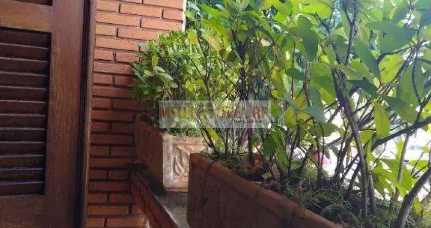 Casa com 4 dormitórios à venda, 249 m² por R$ 530.000,00 - Campos Elíseos - Ribeirão Preto/SP