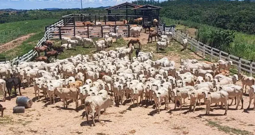 Fazenda à venda na Padre Bernardo, Centro, Padre Bernardo