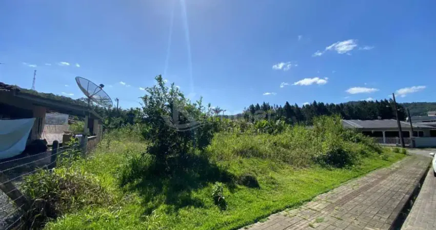 Terreno comercial à venda na Rua Antônio Conradi Junior, Centro, Luiz Alves