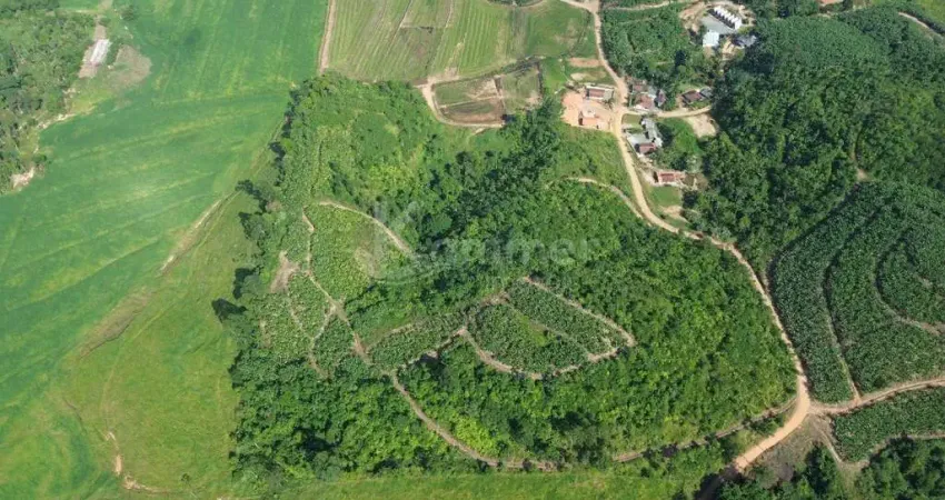 Terreno rural a venda em Luiz alves com 129.675m2, quase 13 hectares de área total, praticamente 100% aproveitável para plantio.