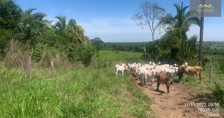Fazenda com 2 salas à venda na Fazenda 359 hectares - com ate 5 anos para pagar, Zona Rural, Chapada dos Guimarães