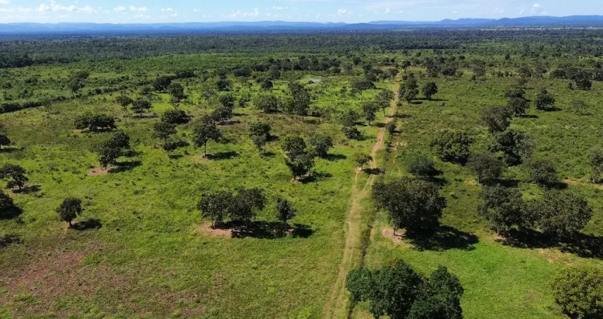 Fazenda 845 hectares | Dupla Aptidão - 26km de Cuiabá MT*
