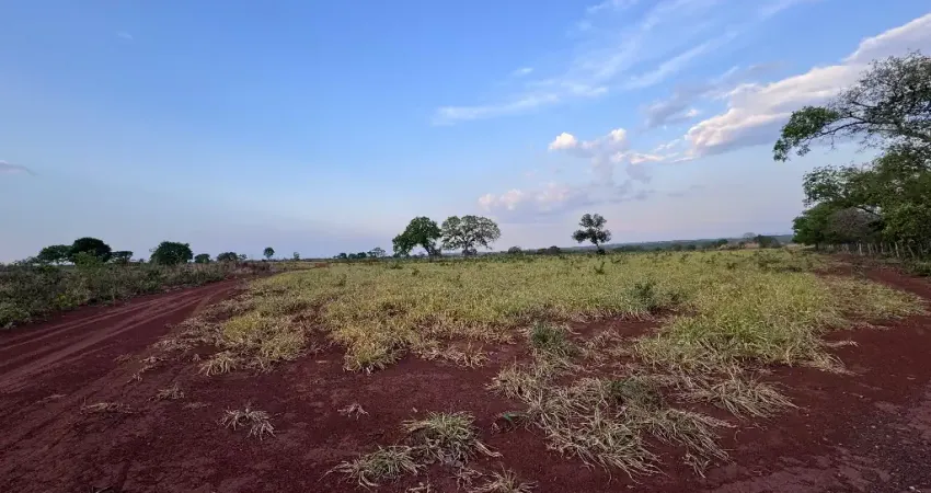 Fazenda 158 hectares - 130ha Formados - Aptidão para Plantio