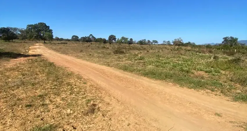 Fazenda de 500 hectares - 200 hectares vira Lavoura