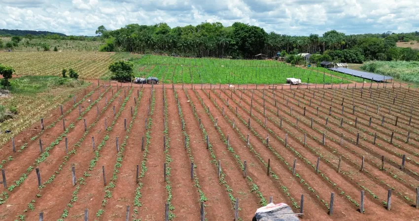 Chácara / sítio com 3 quartos à venda na Sítio 38 Hectares - Produzindo a 20 Anos, Coqueiral, Nobres
