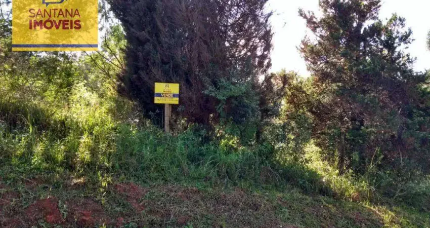 Terreno à venda, 780 m² por R$ 267.300,00 - Jardim Três Rios - Campo Largo/PR