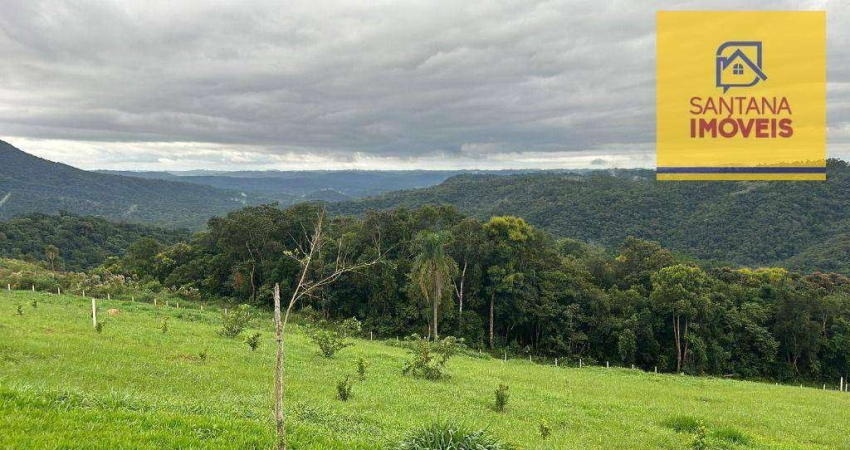 Chácara com 1 dormitório à venda, 20000 m² por R$ 590.000,00 - São Caetano - Balsa Nova/PR