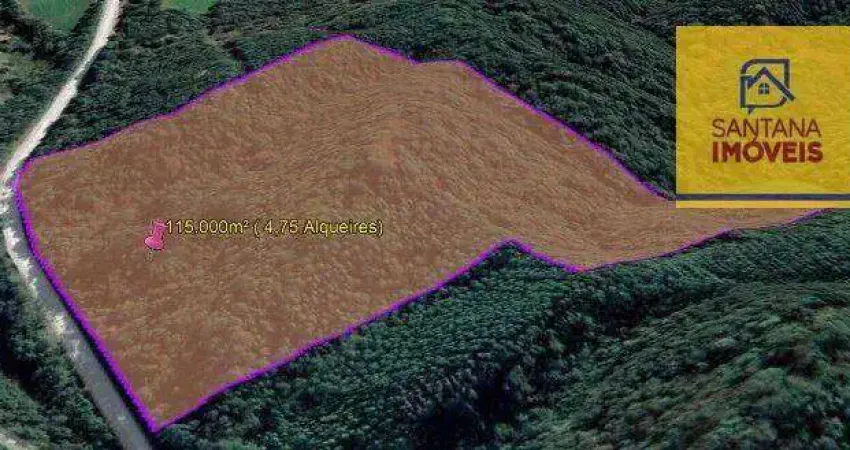 Área à venda, 115000 m² por R$ 2.950.000,00 - Loteamento Itaboa - Campo Largo/PR