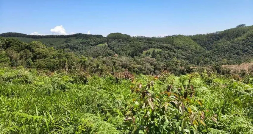 Chácara à venda, 159600 m² por r$ 600.000,00 - três córregos - campo largo/pr