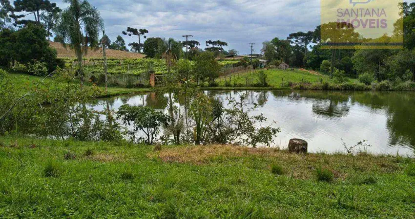 Chácara com 2 dormitórios à venda, 344135 m² por r$ 3.300.000 - bateias - campo largo/pr