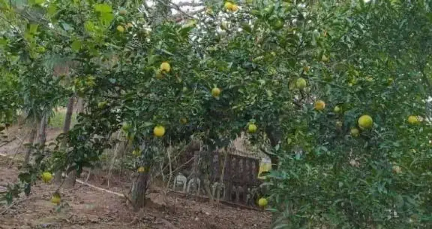 Chácara / sítio com 1 quarto à venda no Piraporão, Piedade 