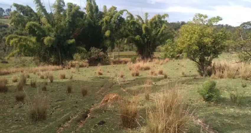 Chácara / sítio com 1 quarto à venda no Centro, Capela do Alto