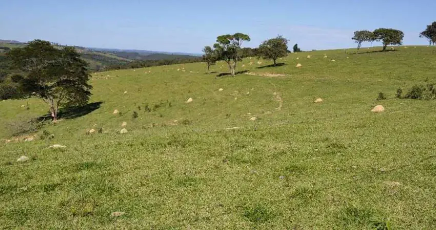 Chácara / sítio com 4 quartos à venda no Leite, Piedade
