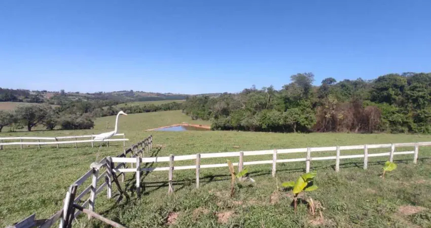 Chácara / sítio com 3 quartos à venda no Ribeirãozinho, Alambari 