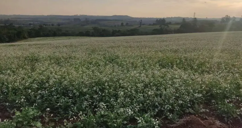 Chácara / sítio à venda no Morada do Sol, Itapetininga