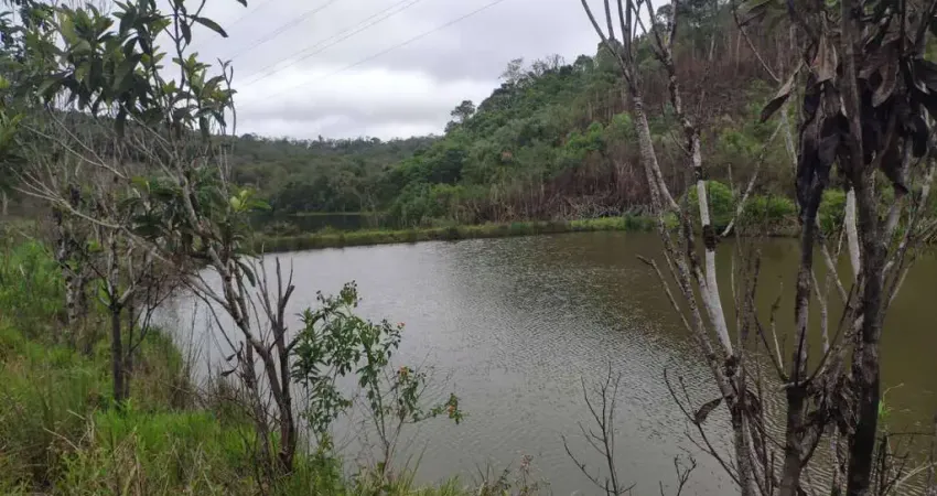 Chácara / sítio com 3 quartos à venda no Turvinho, Piedade 