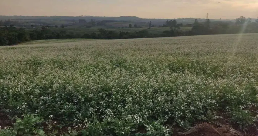 Fazenda em Itapetininga