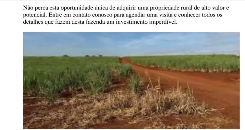 Fazenda em Cana Ribeirão Bonito, SP