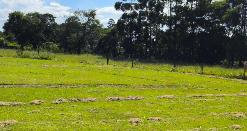Sitio produção grama Angatuba