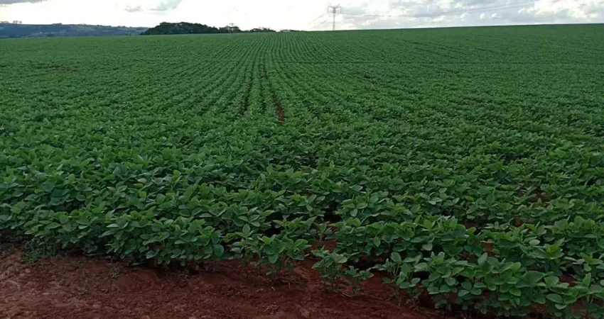 Fazenda à venda no Cercado, Araçoiaba da Serra 