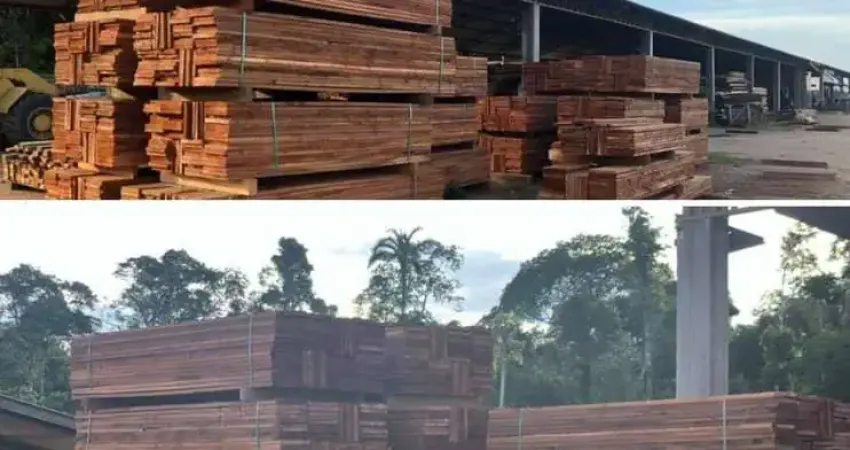 Chácara / sítio à venda no Conselvan, Aripuanã