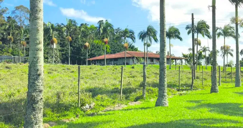 Chácara / sítio com 6 quartos à venda no Centro, Riversul