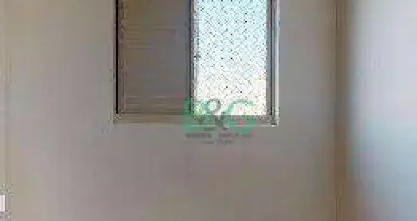 Apartamento com 3 dormitórios à venda, 66 m² por R$ 569.000,00 - Ipiranga - São Paulo/SP