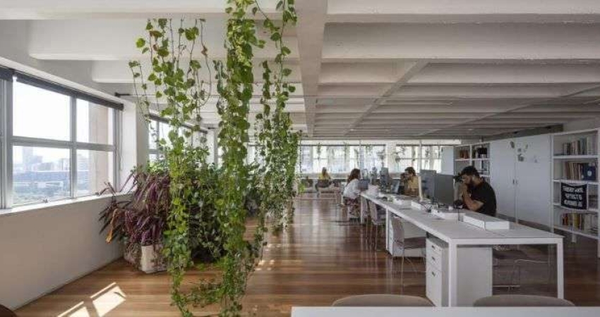 Conjunto para alugar, 210 m² por R$ 36.146/mês - Jardins - São Paulo/SP
