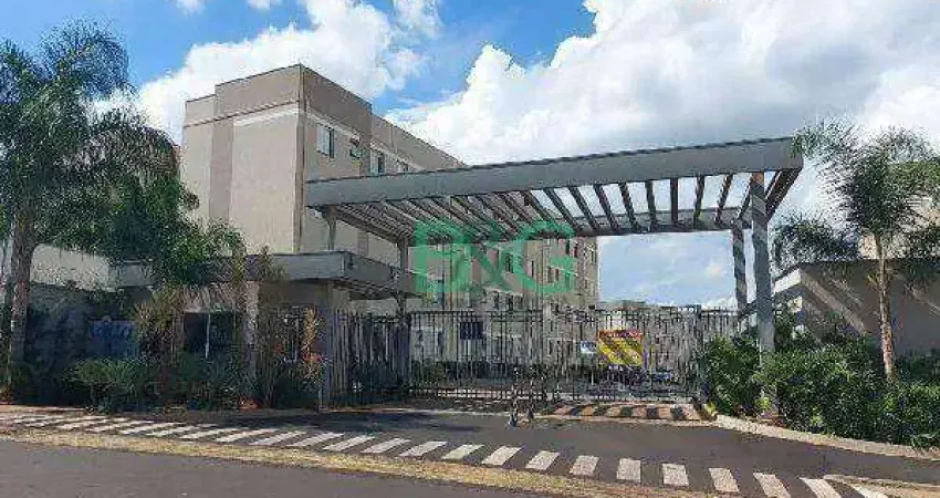 Apartamento com 2 dormitórios à venda, 43 m² por R$ 139.440 - Jardim Residencial Paraíso - Araraquara/SP