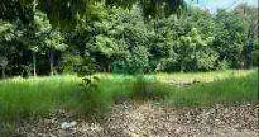 Terreno à venda, 212 m² por R$ 176.467 - Residencial Água Branca - Boituva/SP