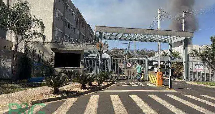 Apartamento com 2 dormitórios à venda, 43 m² por r$ 118.471 - jardim das palmeiras - ribeirão preto/sp