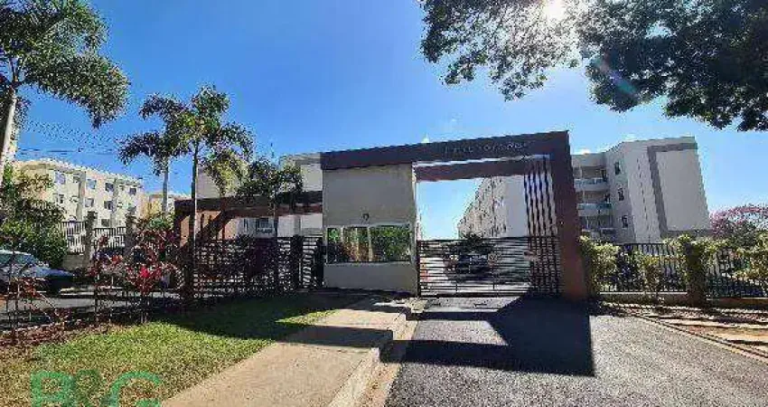 Apartamento com 2 dormitórios à venda, 39 m² por r$ 170.029 - vila boa vista 1 - são carlos/sp