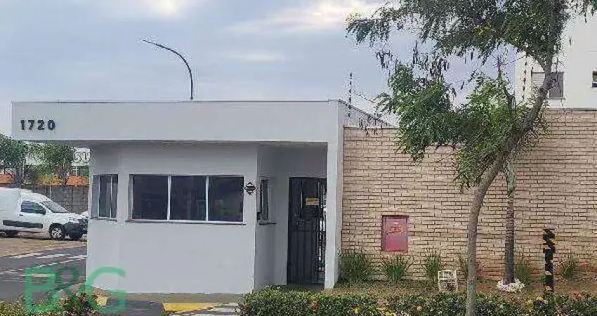 Apartamento com 2 dormitórios à venda, 44 m² por r$ 142.666 - jardim das palmeiras - araras/sp