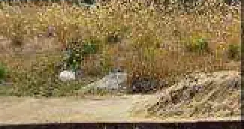 Terreno em condomínio fechado à venda na Avenida Joaquim Pedro de Oliveira, 7, Centro, Iacanga