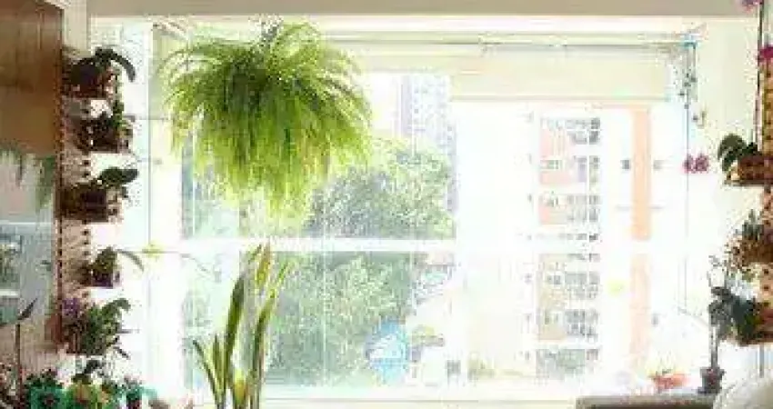 Apartamento com 2 dormitórios à venda, 75 m² por r$ 889.000 - perdizes - são paulo/sp