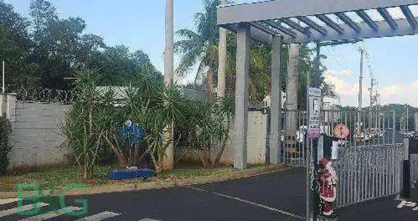 Apartamento com 2 dormitórios à venda, 43 m² por R$ 115.552 - Valentina Figueiredo - Ribeirão Preto/SP