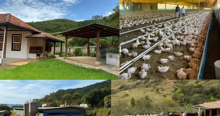 Chácara / sítio com 5 quartos à venda no Guaripocaba, Bragança Paulista