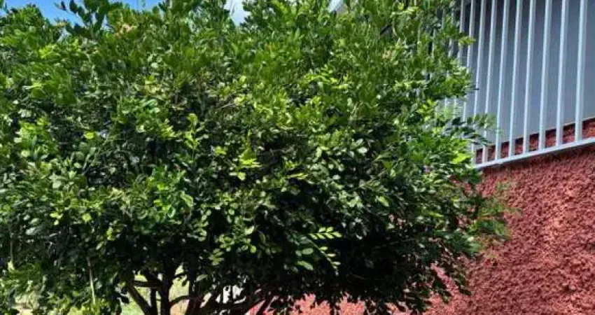 Casa com 2 quartos à venda na Vila São João da Boa Vista, Bauru