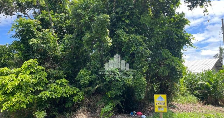 Terreno à venda na Avenida Claudiomiro Vizoto, 779, Praia do Ervino, São Francisco do Sul