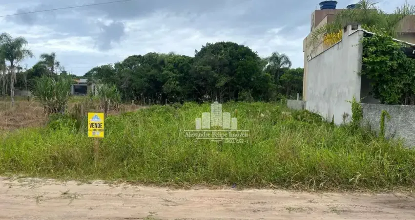 Terreno à venda na Avenida Claudiomiro Vizoto, 779, Praia do Ervino, São Francisco do Sul