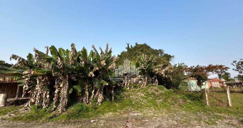 Terreno à venda na Loteamento Tamboretes, Praia do Ervino, São Francisco do Sul