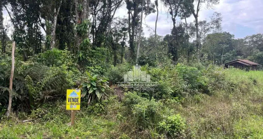 Chácara / sítio à venda na Av. Claudiomiro Vizoto, 779, Praia do Ervino, São Francisco do Sul