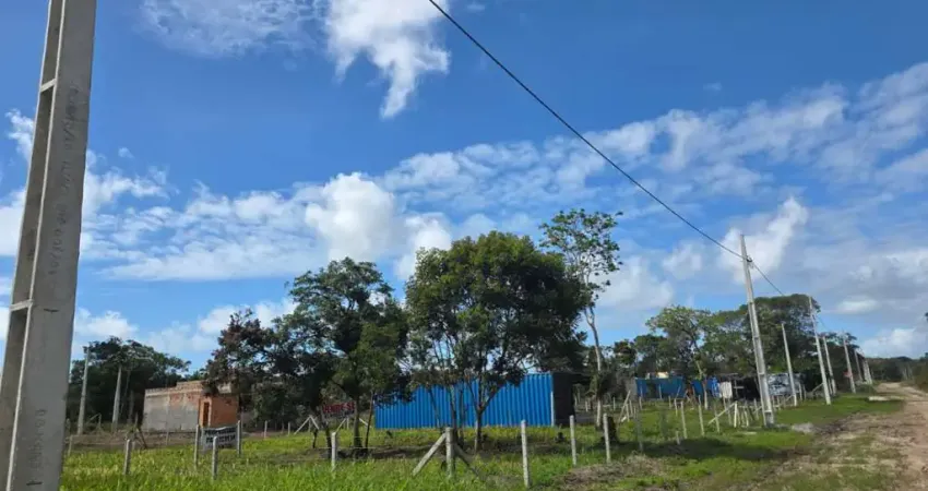 Terreno à venda na Av. Claudiomiro Vizoto, 779, Praia do Ervino, São Francisco do Sul