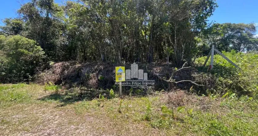 Terreno à venda na Claudiomiro Vizoto, 779, 779, Praia do Ervino, São Francisco do Sul