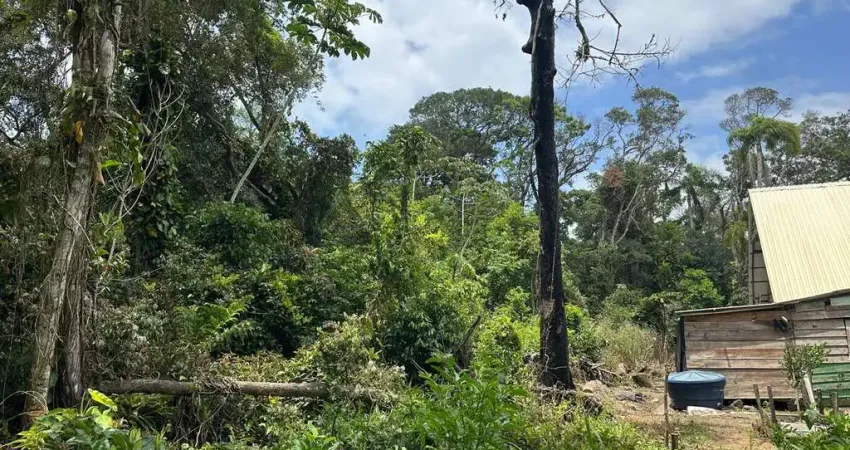 Terreno comercial à venda na Área Rural, Praia do Ervino, São Francisco do Sul