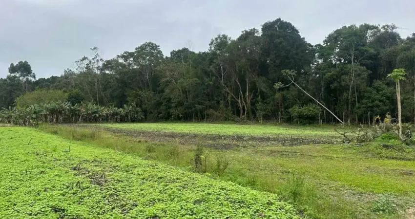 Chácara / sítio à venda na Estr. Geral da Ribeira - São Francisco do Sul, Morro Grande, São Francisco do Sul