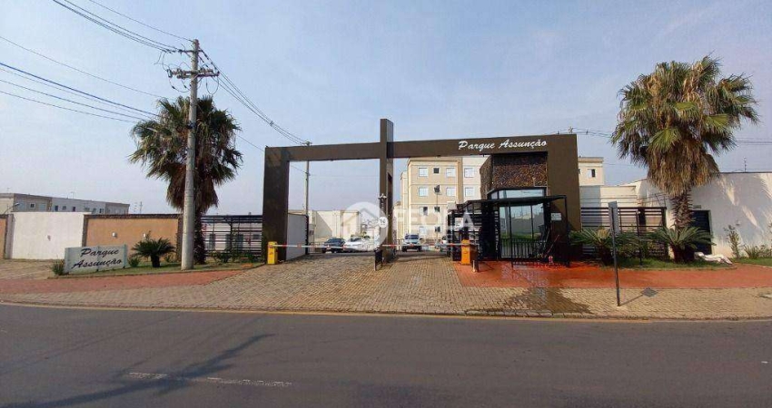 Apartamento com 2 dormitórios para alugar, 48 m² por R$ 1.300,00/mês - Jardim das Laranjeiras - Santa Bárbara D'Oeste/SP