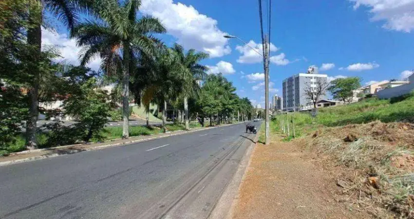Terreno comercial à venda no Jardim São Domingos, Americana