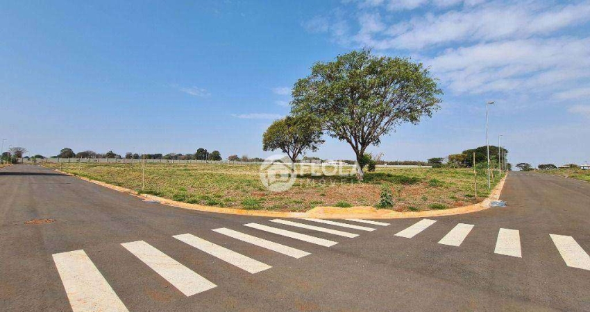Terreno à venda, 490 m² por R$ 425.000,00 - Nova Odessa - Nova Odessa/SP