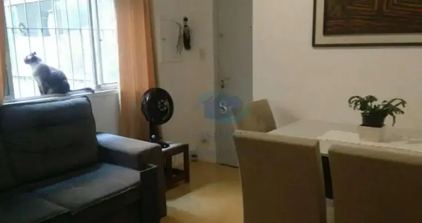 Apartamento com 1 dormitório à venda, 46 m² por R$ 280.000,00 - Cambuci - São Paulo/SP